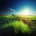 Bright sun shines on green morning grassy meadow, bright blue sky - AI generated image