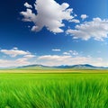 Bright sun shines on green morning grassy meadow, bright blue sky - AI generated image