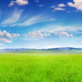 Bright sun shines on green morning grassy meadow, bright blue sky - AI generated image