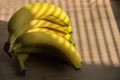 Bright sun shining through window blinds and casting stripes on bananas and aplles in the basket