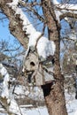 Bright sun on a snow covered bird box