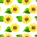 Bright sunflower with green leaves. Seamless pattern. Hand drawn watercolor illustration. Texture for print, fabric