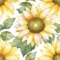 Bright Sunflower Pattern Background with Vibrant Yellow Petals