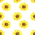 Bright sunflower. Seamless pattern. Hand drawn watercolor illustration. Texture for print, fabric, textile, wallpaper.