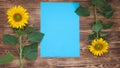 bright sunflowers on an old wooden background lie in buds in different directions, a blue sheet Royalty Free Stock Photo