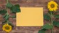 bright sunflowers on an old wooden background lie in buds in different directions, a yellow sheet Royalty Free Stock Photo