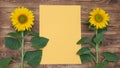 bright sunflowers on an old wooden background, yellow leaf Royalty Free Stock Photo