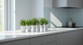 Kitchen windowsill with potted herbs Royalty Free Stock Photo