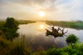 Bright sunlight streams through thick fog in the morning. Dry sn Royalty Free Stock Photo