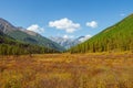 Bright sunny autumn landscape with sunlit gold valley with green fir trees on mountainside under blue sky. Awesome alpine scenery