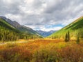 Bright sunny autumn landscape with sunlit gold valley and winding river with green fir trees on mountainside under blue sky.