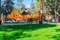 Bright sunny day in autumn city park, green lawn, and yellow leaves, street, focus on foreground Royalty Free Stock Photo