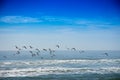 Praia de ItapirubÃÂ¡ - Imbituba - Santa Catarina - Brasil