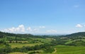 Large Italian fields with vegetation