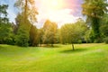 Bright sunny day in park Royalty Free Stock Photo
