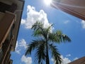 Bright sunny day view in Putrajaya. Clouds, tree and blue skies for nature and environmental concepts Royalty Free Stock Photo