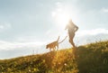 Bright sunny Morning Canicross exercises. Man runs with his beagle dog