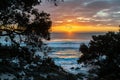 Bright sunrise across ocean framed by silhouette trees Royalty Free Stock Photo