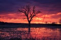 Bright sunrise with colorful cloudy sky over old tree on floodplain of river. Scenic spring landscape in morning