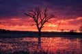 Bright sunrise with colorful cloudy sky over old tree on floodplain of river. Scenic spring landscape in morning Royalty Free Stock Photo