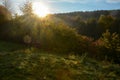 Bright sunrise over trees with meadow Royalty Free Stock Photo