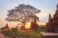 Sunset behind the shrines, Bagan, Myanmar Royalty Free Stock Photo