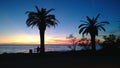 Bright sunset on the Montenegrin coast in the Bar. Silhouettes of palm trees and a man sitting on a bench on the shore Royalty Free Stock Photo
