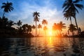 Bright sunset among palm trees on a tropical beach. Nature. Royalty Free Stock Photo