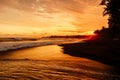 Bright sunset or sunrise with ocean waves and coconut palms on beach Royalty Free Stock Photo