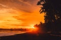 Bright sunset or sunrise with ocean waves and coconut palms in east coast of Bali Royalty Free Stock Photo