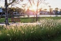 Bright sunset twilight sky and beautiful environment of outdoor garden with lake, fountain, lawn and trees in beautiful landscape Royalty Free Stock Photo