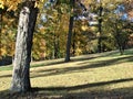 Autumn Shadows on A Hillside In Rural Kentucky Royalty Free Stock Photo