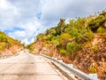 Bright sunshine day time Highway curve road overpass nature landscape background street tall lanterns trees bushes