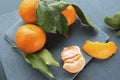 Bright tangerines with leaves on the slate plate background