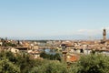 Bright tiled roofs of florence view