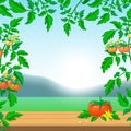 Bright tomato ads banner template. background with fresh ripe tomato on wooden table, tomato branches and beautiful view on sunny