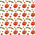 Bright tomato texture seamless digital pattren on a white background. Print for banners, wrapping paper, posters, cards, invitatio