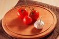 Bright tomatoes with green branch and garlic