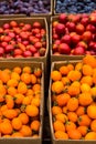 Bright tomatoes at the vegetable market, autumn harvest Royalty Free Stock Photo