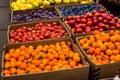 Bright tomatoes at the vegetable market, autumn harvest Royalty Free Stock Photo