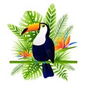 Bright toucan bird with tropical leaves and flowers - for Your summer design