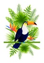 Bright toucan bird with tropical leaves and flowers - for Your summer design 4