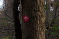 Bright trail marker guiding the way