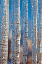 Bright transparent icicles against the background of the blue sky. Royalty Free Stock Photo