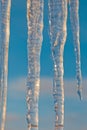 Bright transparent icicles against the background of the blue sky. Royalty Free Stock Photo