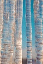 Bright transparent icicles against the background of the blue sky. Royalty Free Stock Photo