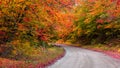 Autumn trees along scenic byways of Michigan