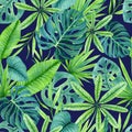 Bright trendy seamless watercolor pattern of tropical plants from humid rainforest.