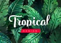 Bright tropical background with jungle plants. Exotic pattern with tropical leaves