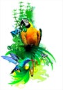Bright tropical birds on a white background.